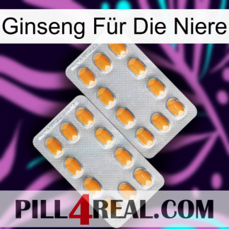 Ginseng Für Die Niere cialis4